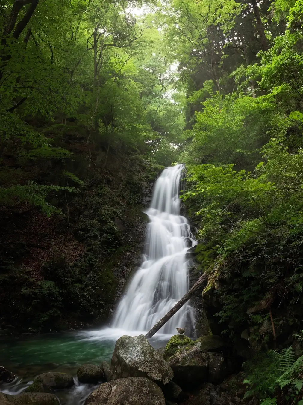 寂光の滝